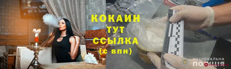 Cocaine FishScale  дарнет шоп  Добрянка 