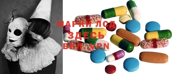 сатива Покачи