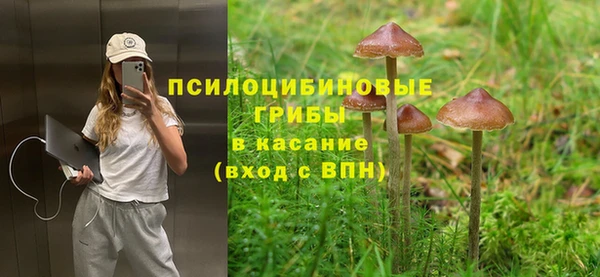 круглые Магас