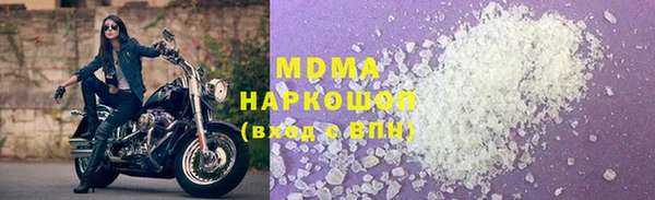 дмт Тайга