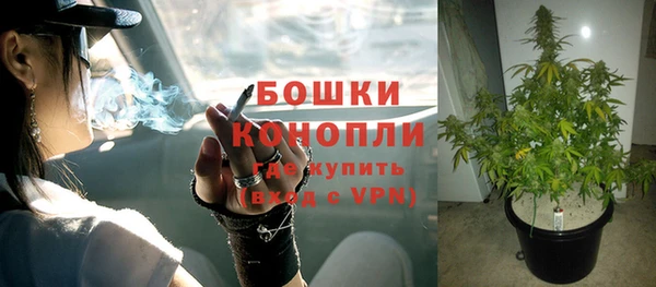 стафф Магадан