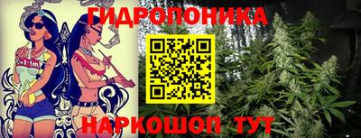 ALPHA PVP Гатчина