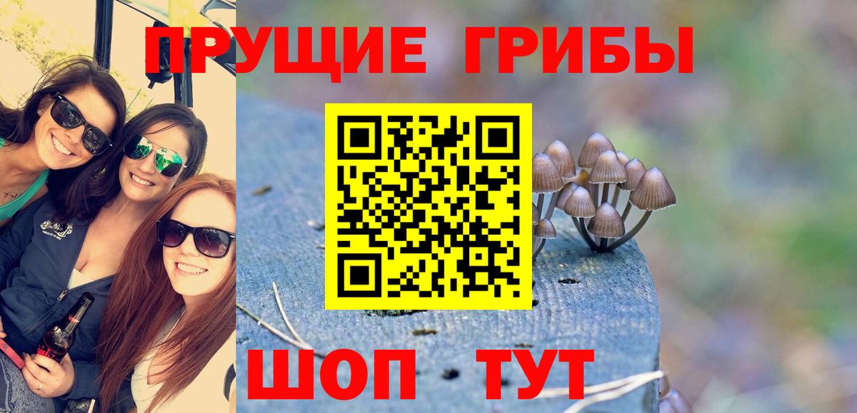 Псилоцибиновые грибы GOLDEN TEACHER Добрянка