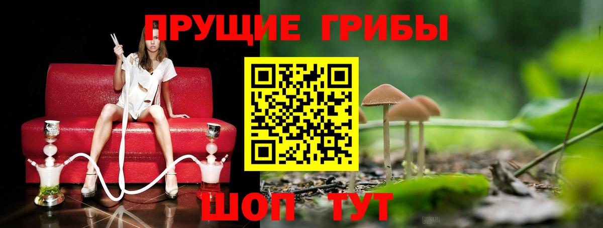 Галлюциногенные грибы GOLDEN TEACHER  Добрянка 