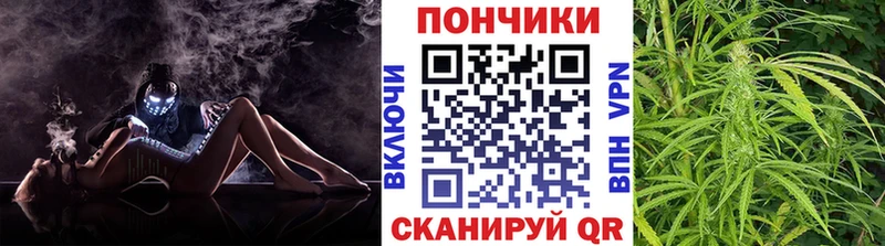 мориарти как зайти  Добрянка  Бошки марихуана Amnesia  закладки 